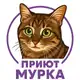 Аватар канала Частный приют "Мурка" (Волгоград)