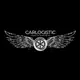 Аватар канала CARLOGISTIC АВТОРЫНОК МОСКВА