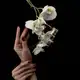 Аватар канала Ess-Bouquet