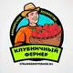 Аватар канала Клубничный фермер