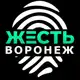 Аватар канала Жесть Воронеж
