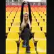 Аватар канала Светлана Мастеркова
