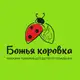 Аватар канала Божья коровка