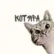 Аватар канала КОТЯРА😸