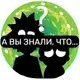 Аватар канала А ВЫ ЗНАЛИ, ЧТО...