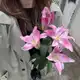 Аватар канала tumblr girl 🎋