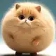 Аватар канала КОТОФЕЙ