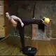 Аватар канала Тамир Шейх Здоровье Фитнес Единоборства
