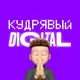 Аватар канала Кудрявый Digital