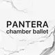 Аватар канала panterabalet