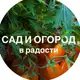 Аватар канала Школа органического земледелия | Сад и огород в радости