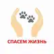 Аватар канала СПАСЕМ ЖИЗНЬ | Волонтерское движение в защиту животных