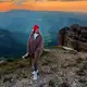 Аватар канала Фотограф Пятигорск Горы