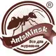 Аватар канала AntsMinsk Official