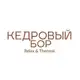 Аватар канала Кедровый Бор Relax&Thermal