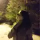 Аватар канала лествиничка