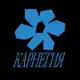 Аватар канала карнегия