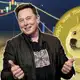 Аватар канала Crypto Musk