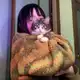 Аватар канала Какая-то Маша лепит котёнков