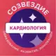 Аватар канала Кардиология & ФД. Академия Докстарклаб