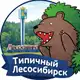 Аватар канала Типичный Лесосибирск