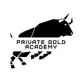Аватар канала PRIVATE GOLD ACADEMY