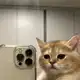 Аватар канала cat core [strange catposting^^]