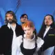 Аватар канала медведица