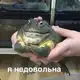 Аватар канала OLLIIICH