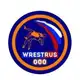 Аватар канала Wrestrus_000