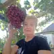 Аватар канала 🌺 Любовь Назарова