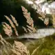 Аватар канала Just WOOD отель 🌱