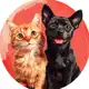Аватар канала Кошечки & Собачки🐈🐶