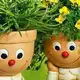 Аватар канала 🌺Цветы Мира🌺