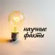 Аватар канала Научные факты💡