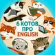 Аватар канала 6 котов про English 😽