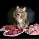Аватар канала Catnutrition.ru