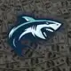 Аватар канала Shark 1XBET