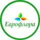Аватар канала Еврофлора Краснодар