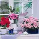 Аватар канала Цветочный Рай 🌺