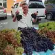 Аватар канала Саженцы Сызрань 🍏🍉🍒🍎🍐🍋🍓🍊