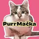 Аватар канала PurrMačka