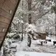 Аватар канала Лесная жизнь🪵🌲