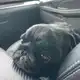 Аватар канала флопа