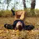 Аватар канала Мир через объектив 📸