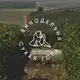 Аватар канала Винодельня СУХАЯ ГОРА