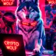 Аватар канала Crypto Wolf