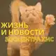 Аватар канала Жизнь Зооцентра КиС🦮🐈