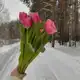 Аватар канала Музика