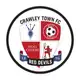 Аватар канала Crawley Town❤️🤍 | EFL League Two